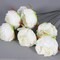 25 Pcs Silk Peony Artificial Flower Heads 4 inch Fake Peony Flowers Heads with Stems Artificial Peony Flower Heads in Bulk Wholesale for Wedding Home Decor